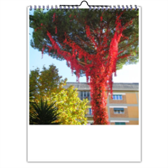 Pini di Roma Foto Calendario A3 multi pagina